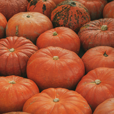 Remportez vos entrées pour le marché grâce à la balade des courges et du chocolat