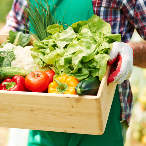 Un Espace Découvertes dédié à l'alimentation 