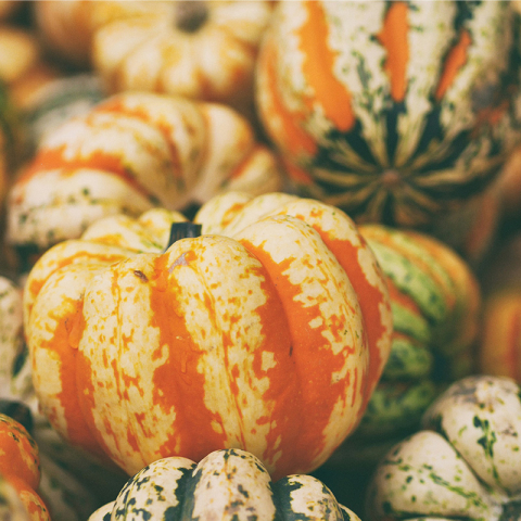 La balade des courges marquera un arrêt chez nous 