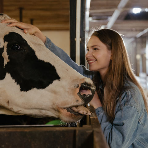 Un week-end en immersion à la ferme 
