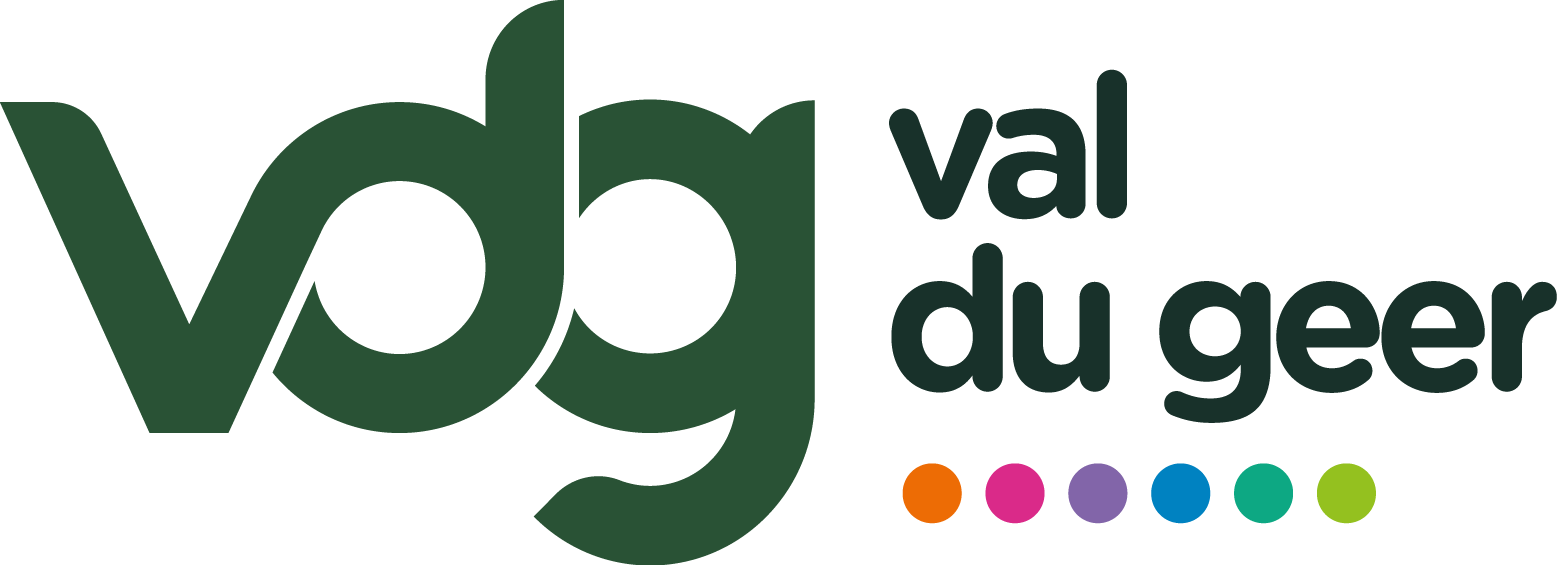 LOGO VDG sans fond.png